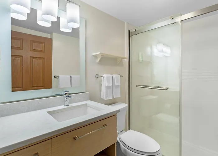 Mainstay Suites Tampa Moffitt-Usf